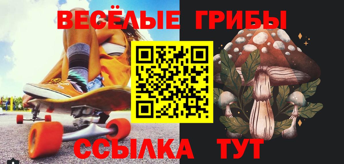 Псилоцибиновые грибы GOLDEN TEACHER Люберцы